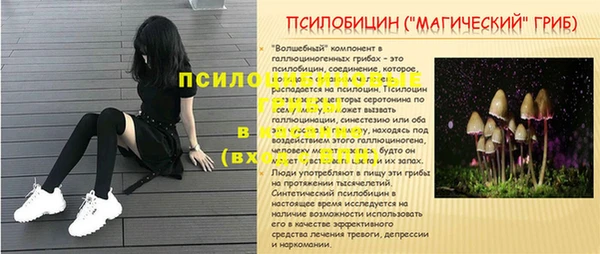 амф Надым
