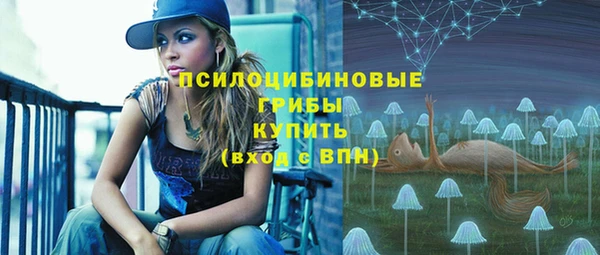 стаф Бабаево