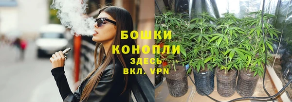 стаф Бабаево