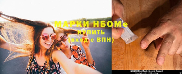прущие грибы Анива