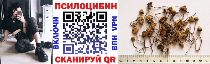 продажа наркотиков  blacksprut вход  Галлюциногенные грибы прущие грибы  Сатка 