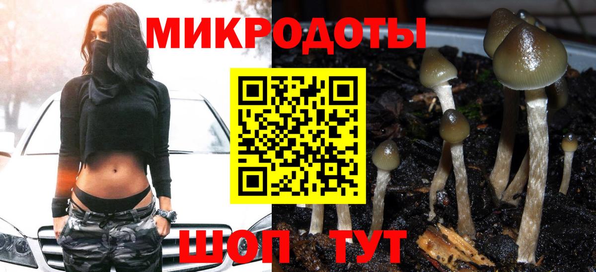 Псилоцибиновые грибы Psilocybe Сатка